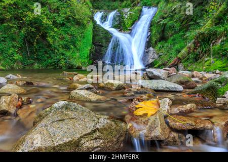 All Saints Waterfalls, Herbst, Oppenau, Nationalpark Schwarzwald, Baden-Württemberg, Deutschland Stockfoto