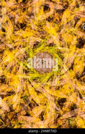 Blätter auf dem Waldboden, Doppelbelichtung, Herbst, abstrakt, Hintergrund, Herbstmosaik, Ilsenburg, Sachsen-Anhalt, Deutschland Stockfoto