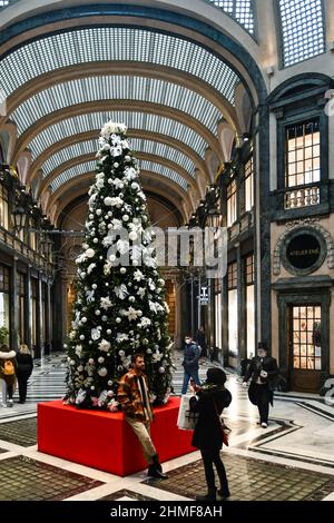 Der traditionelle Weihnachtsbaum in der Galleria San Federico, einer historischen Einkaufspassage im Zentrum von Turin, Piemont, Italien Stockfoto