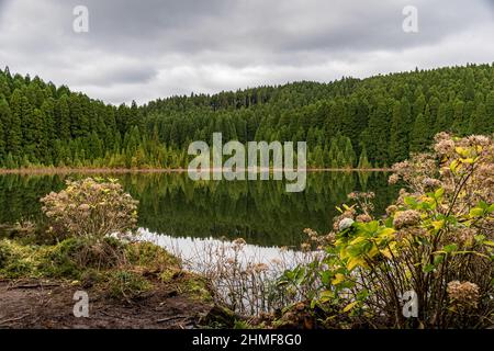 Der kleine vulkanische See Lagoa do Canario im Sete Cidades-Massiv der Insel Sao Miguel (Azoren, Portugal) Stockfoto