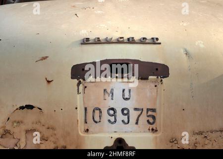 Hinten beige verschrottete Peugeot mit lackiertem Nummernschild, historisches Auto, Detailansicht, Altauto, Schrottplatz, Metallrecycling, Recycling von Schrott Stockfoto