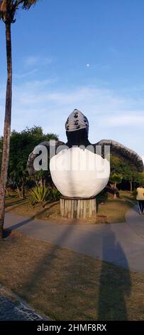 Projeto Tamar, Orla do Atalaia, Aracaju, Sergipe, Brasilien Stockfoto