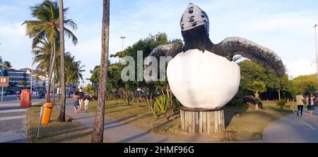 Projeto Tamar, Orla do Atalaia, Aracaju, Sergipe, Brasilien Stockfoto