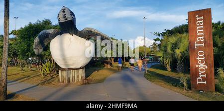 Projeto Tamar, Orla do Atalaia, Aracaju, Sergipe, Brasilien Stockfoto