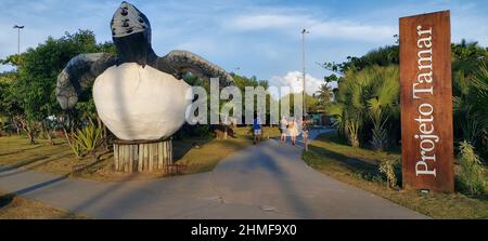 Projeto Tamar, Orla do Atalaia, Aracaju, Sergipe, Brasilien Stockfoto