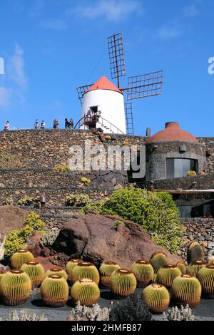 Jardin de Cactus, Kaktusgarten in Guatiza, Lanzarote, Spanien Stockfoto