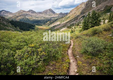 Wanderweg in der Hunter-fryingpan Wilderness, Colorado Stockfoto