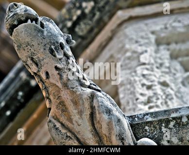 Gotische Gargoyle in Mdina, Malta Stockfoto