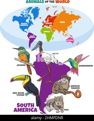 Pädagogische Illustration mit Karikatur südamerikanischen Tierarten und Weltkarte mit Kontinenten Stock Vektor
