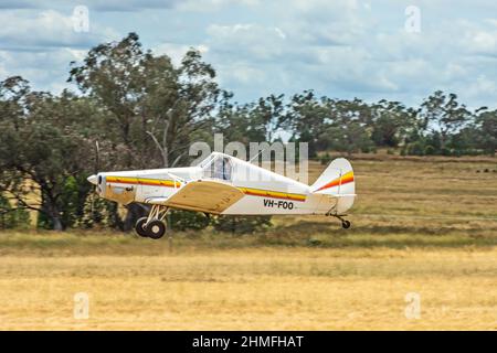 Piper Model PA-25-235/A1 Pawnee Glider Tow Plane startend at Lake Keepit Soaring Club Gunnedah Australia. Stockfoto