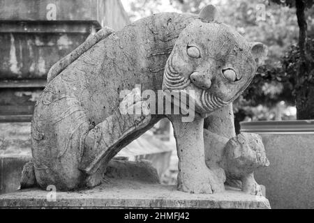 Steinerne Tierstatue im Wat Arun, buddhistischer Tempel am Chao Phraya River, Bangkok, Thailand. Stockfoto