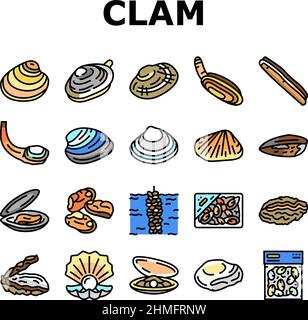 Clam Marine Sea Farm Ernährung Symbole Set Vektor Stock Vektor