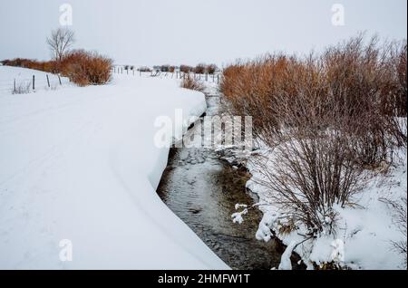 Winterszene eines verwinkelten Baches durch schneebedeckte Felder an der Grenze der umliegenden Bauernhöfe Stockfoto