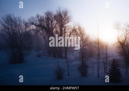 Wunderschöne frostige Morgenlandschaft Stockfoto