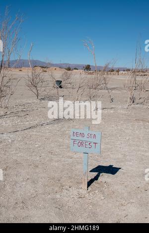 Bombay Beach ist ein Paradies für Kunstwerke an der Küste der Salton Sea im Imperial County, CA, USA. Stockfoto