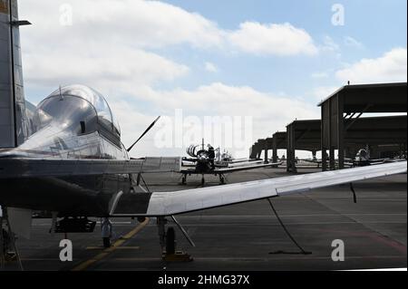 Ein T-6 Texan sitzt am 1. Februar 2022 auf der Fluglinie des Luftwaffenstützpunkts Laughlin, Texas. Auf der Laughlin AFB befinden sich über 100 Flugzeuge, darunter der T-6 Texan, der T-38 Talon und der T-1 Jayhawk. (USA Luftwaffe Foto von Airman Kailee Reynolds) Stockfoto