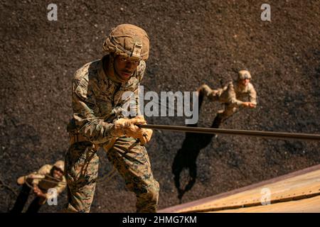 Schofield Barracks East Range, Hawaii, USA. 3rd. Februar 2022. Eine US-Marine von 3rd Marines, 3rd Marine Division, Marine Corps Base Hawaii, rappelt als US-Armeesoldat und Marine-Sicherer in der Ferne bei Lightning Academy, Hawaii, 3. Februar 2022, einen Turm herunter. Der Abseilen-Turm war eines von vielen Veranstaltungen während des 25th Division Artillery's Best by Test Wettbewerbs, der entworfen wurde, um die mentale Härte, Fitness und Geschicklichkeit der Artillerietrupps in ganz Hawaii zu testen. Kredit: Rachel Christensen/U.S. Army/ZUMA Press Wire Service/ZUMAPRESS.com/Alamy Live News Stockfoto