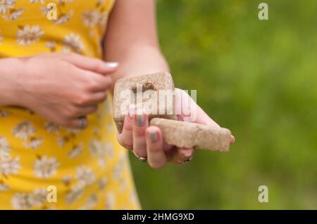 Umweltfreundliche natürliche feste Shampoo und Haarspülung auf Holz Hintergrund Stockfoto