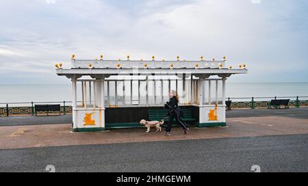 Brighton UK 10th February 2022 - Ein Läufer und ein Hund genießen einen frisch kalten Morgen an der Küste von Hove mit einigen Teilen des Nordens und Schottlands, die Schnee erwarten : Credit Simon Dack / Alamy Live News Stockfoto