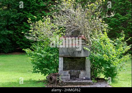 Die Natur reklamiert einen alten Backstein und Beton Grill oder Kamin. Stockfoto