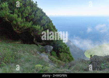 MADEIRA, PORTUGAL - 27. AUGUST 2021: Dies ist ein Blick auf den Atlantischen Ozean von einem Hochplateau, an dessen Hängen sich Relikte befinden Stockfoto