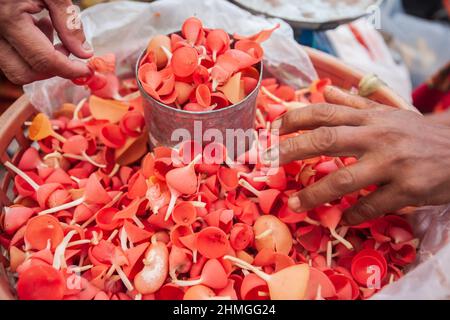 Pink Burn Cup oder Pilzbecher Pilz bei Frau, die auf einem lokalen Markt in Narathiwat, Thailand, verkauft wird. Lokales Essen. Essbare Pflanzen. Nahaufnahme. Stockfoto