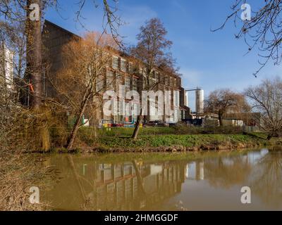 Carlsberg-Brauerei an den Ufern des Flusses Nene, Northampton, UK Stockfoto