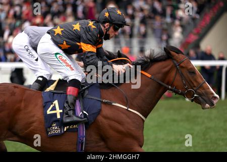 Aktenfoto vom 19-06-2021 von Rohaan unter Shane Kelly. David Evans hofft, dass Rohaan nach einer Enttäuschung bei Lingfield wieder seine Bestform erreicht, als er für den Group Three 1351 Turf Sprint in Riad nach Saudi-Arabien auffährt. Ausgabedatum: Donnerstag, 10. Februar 2022. Stockfoto