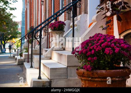 Mount Royal in der Nachbarschaft Häuser von Baltimore City mit berühmten Marmortreppen. Stockfoto