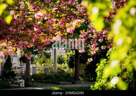 Im idyllischen Wassermanndorf Oxford an der Ostküste der Chesapeake Bay, Maryland, können Sie auf der Veranda sitzen und eine Bank stützen. Stockfoto