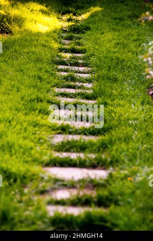 Gartenpfad in der Wassermannstadt Oxford am Tred Avon River, Maryland. Stockfoto