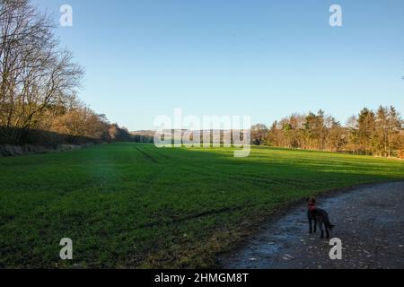 Blick über Lanchester Valley im Winter Stockfoto