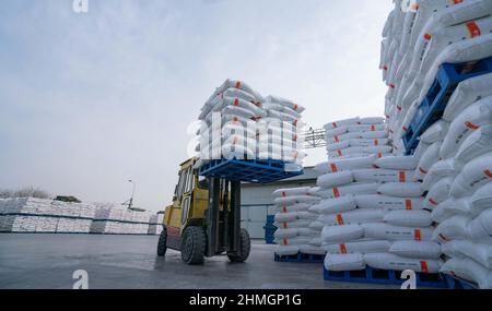 BAZHOU, CHINA - 10. FEBRUAR 2022 - Arbeiter bedienen Gabelstapler, um Dünger in einen Zug in Bozhou, Provinz Xinjiang, China, zu laden, 10. Februar 2022. Stockfoto