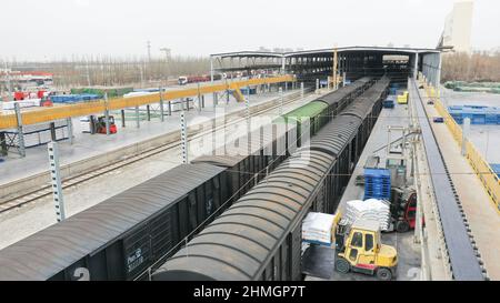 BAZHOU, CHINA - 10. FEBRUAR 2022 - Arbeiter bedienen Gabelstapler, um Dünger in einen Zug in Bozhou, Provinz Xinjiang, China, zu laden, 10. Februar 2022. Stockfoto