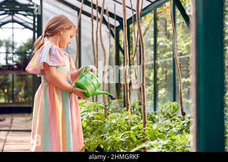 Junges Mädchen Gießen Tomatenpflanzen Im Gewächshaus Zu Hause Stockfoto