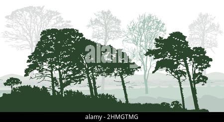 Bäume Silhouetten isoliert auf weißem Hintergrund. Grüner Wald mit reifen Kiefern und Laub. Landschaft des Naturschutzparks. Vektorgrafik Stock Vektor