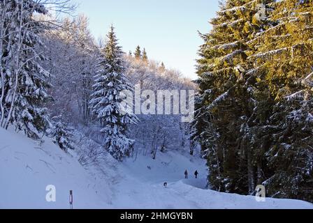 Eine winterliche Landschaft in der Nähe des Lac de Guéry, an einem Januarnachmittag Stockfoto