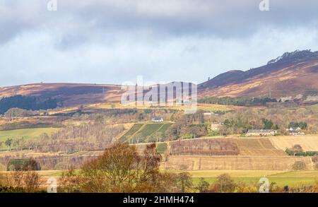 Dundee, Tayside, Schottland, Großbritannien. 10th. Februar 2022. UK Wetter: Es ist ein schöner, trockener Februarmorgen in Nordostschottland, mit viel Sonnenschein und einer starken Brise und Temperaturen um die 8 Grad Während eines gemäßigten Winters bietet das ländliche Dundee spektakuläre Ausblicke auf die Sidlaw Hills und üppige Farmlandschaften. Die Sidlaw Hills und das Strathmore Valley in Dundee enthalten eine vielfältige Pflanzenwelt, historische Altertümer und einen einzigartigen Platz in der Wissenschaftsgeschichte für ein 18th-Jahrhundert-Experiment zum „Wiegen der Erde“. Kredit: Dundee Photographics/Alamy Live Nachrichten Stockfoto