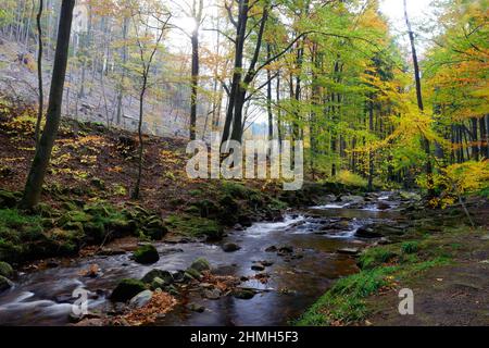 Ilse am Heinrich-Heine-Weg im Ilsetal, Harz, Sachsen-Anhalt, Deutschland Stockfoto