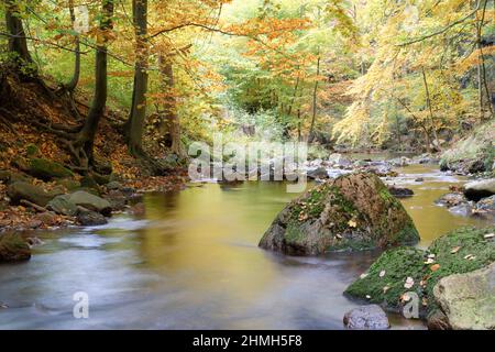 Ilse am Heinrich-Heine-Weg im Ilsetal, Harz, Sachsen-Anhalt, Deutschland Stockfoto