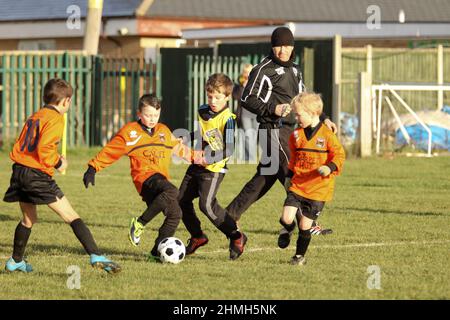 Fußballspiel für Jungen zwischen Cleeve Colts U8 und Churchdown Panthers U8 Stockfoto