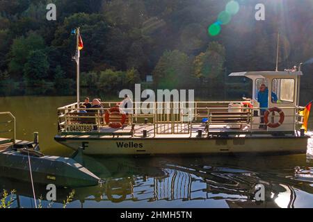 Fähre Welles auf der Saarschleife in Mettlach-Dreisbach, letzte Fähre auf der Saar, Mettlach, Saartal, Saarland, Deutschland Stockfoto