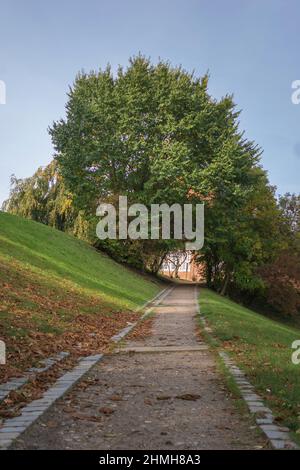 Ein Herbstspaziergang im Park des Herzogtums Lauenburg Bezirksmuseums am Großen Ratzburger See in Ratzburg, Deutschland. Stockfoto