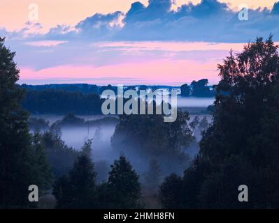 Europa, Schweden, Mittelschweden, Provinz Västergötland, Morgennebel im Naturschutzgebiet Rösjömossen bei Falköping Stockfoto