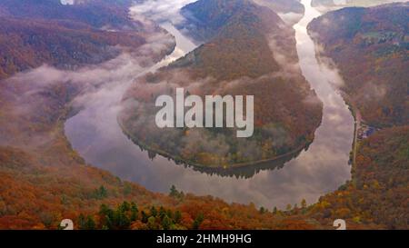 Saar-Schleife bei Mettlach im Morgenlicht, Saartal, Saarland, Deutschland Stockfoto