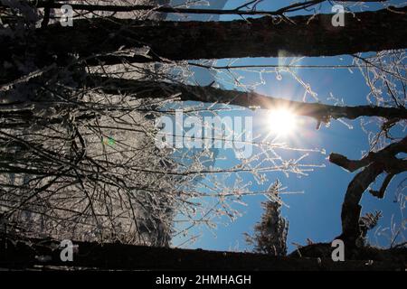 Winterwanderung am Barmsee bei Krün Schneekristalle verzaubern die verträumte Winterlandschaft, im Hintergrund das Karwendelgebirge, hinterleuchtet, Süddeutschland, Oberbayern, Schnee, Winter, Schnee, Bäume, Deutschland, Bayern, Werdenfels, Stockfoto