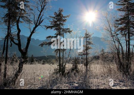 Winterwanderung am Barmsee bei Krün Schneekristalle verzaubern die verträumte Winterlandschaft, im Hintergrund das Karwendelgebirge, hinterleuchtet, Süddeutschland, Oberbayern, Schnee, Winter, Schnee, Bäume, Deutschland, Bayern, Werdenfels, Stockfoto