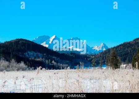 Winterwanderung am Barmsee bei Krün im Hintergrund das Wettersteingebirge mit Alpspitze, Zugspitze, Waxenstein Schneekristalle verzaubern die traumhafte Winterlandschaft, Süddeutschland, Oberbayern, Schnee, Winter, Verschneit, Bäume, Deutschland, Bayern, Werdenfels, Krün Stockfoto