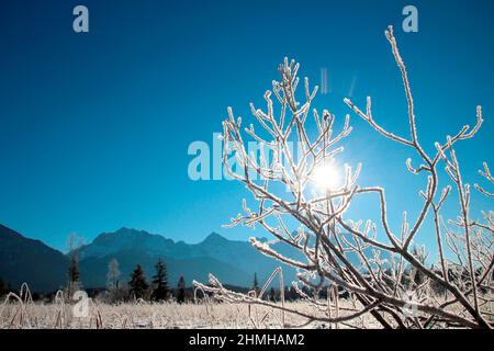 Winterwanderung am Barmsee bei Krün Schneekristalle verzaubern die verträumte Winterlandschaft, im Hintergrund das Karwendelgebirge, hinterleuchtet, Süddeutschland, Oberbayern, Schnee, Winter, Schnee, Bäume, Deutschland, Bayern, Werdenfels, Stockfoto