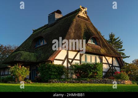 Fachwerkhaus in Salem, Naturpark Lauenburger Seen Stockfoto